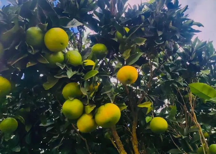 Rural La Casa Отель типа 